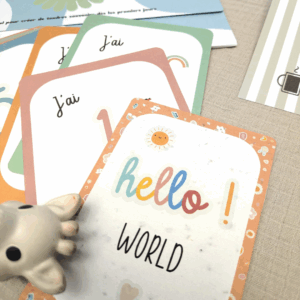 Cartes étapes à planter 12 mois + 1 carte "Hello"