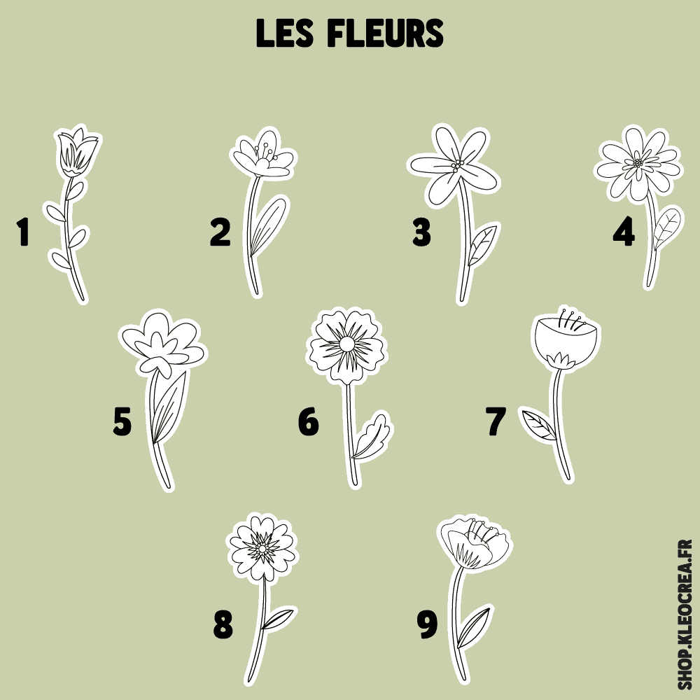 les fleurs